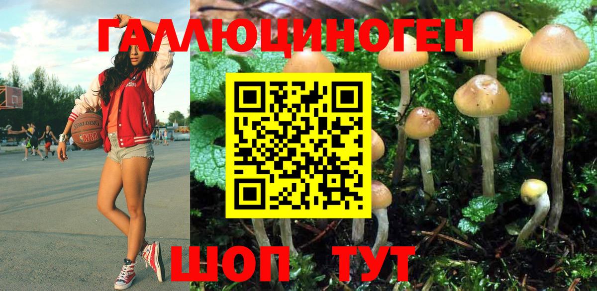 Галлюциногенные грибы GOLDEN TEACHER Москва