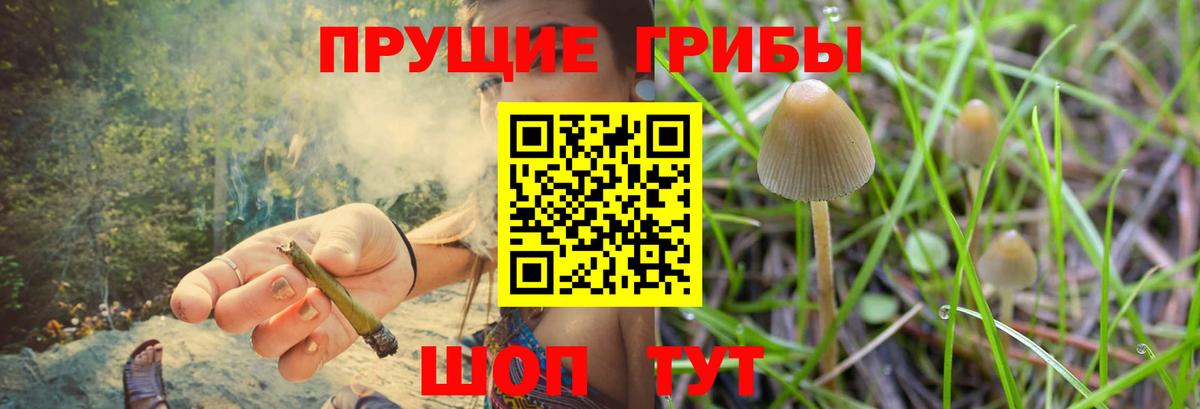 Москва  Галлюциногенные грибы Psilocybine cubensis  Псилоцибиновые грибы Psilocybe  Вход с VPN 